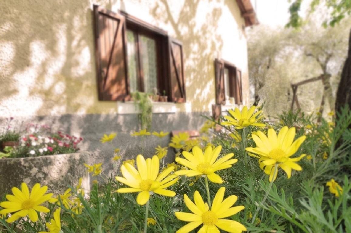 סאלה קונסיליניה Agriturismo Macchiapiede מראה חיצוני תמונה